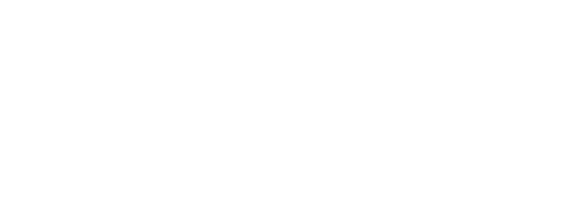 Biometrik Market